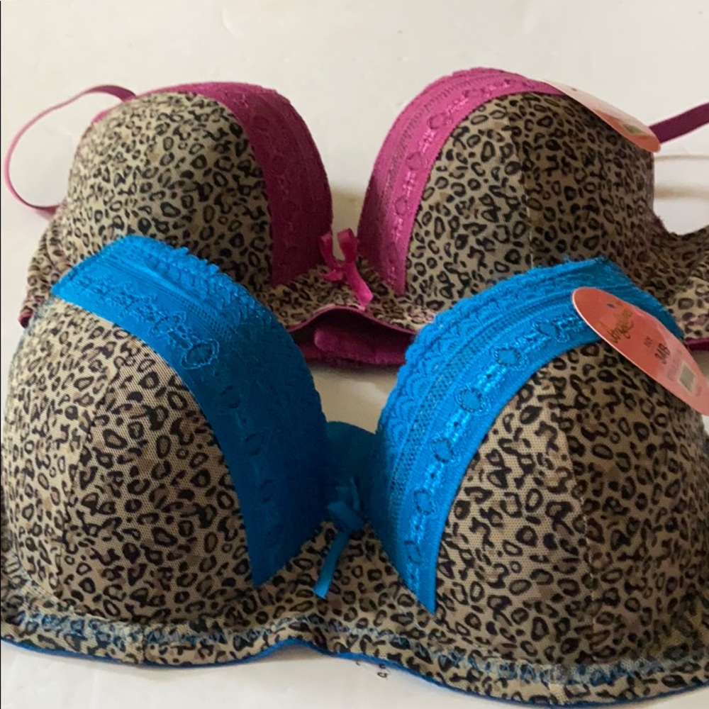 Angelina bras